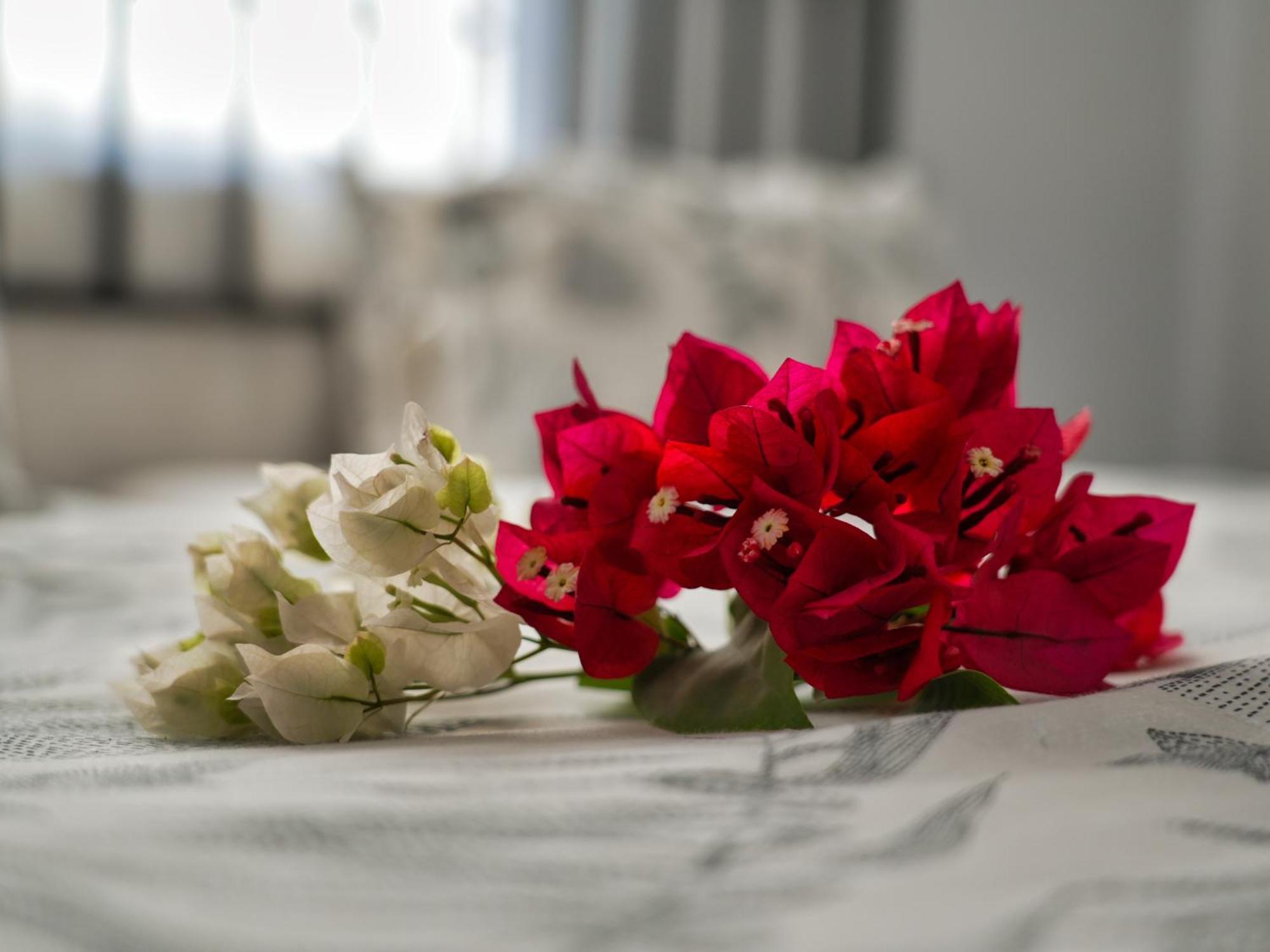 Golentle Home Stay Maun Zimmer foto